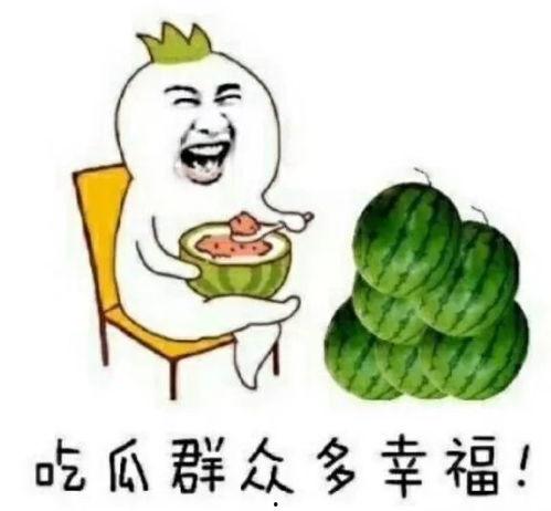 娱乐圈专业吃瓜