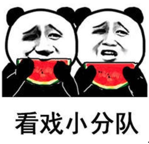 娱乐圈吃瓜的表情包,笑料百出！