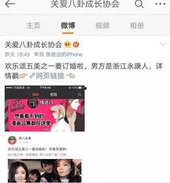 吃瓜小说娱乐圈完结推荐,瓜田里的甜蜜结局